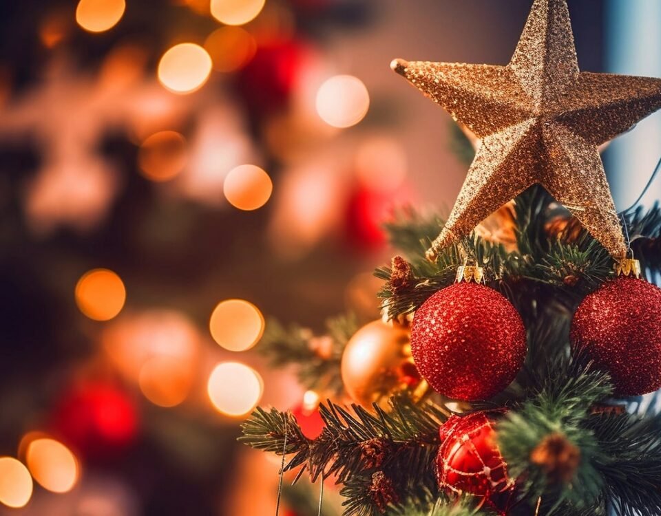 Alexandra Trey Naturopathe Montpellier Blog Naturopathie Festive Img Min