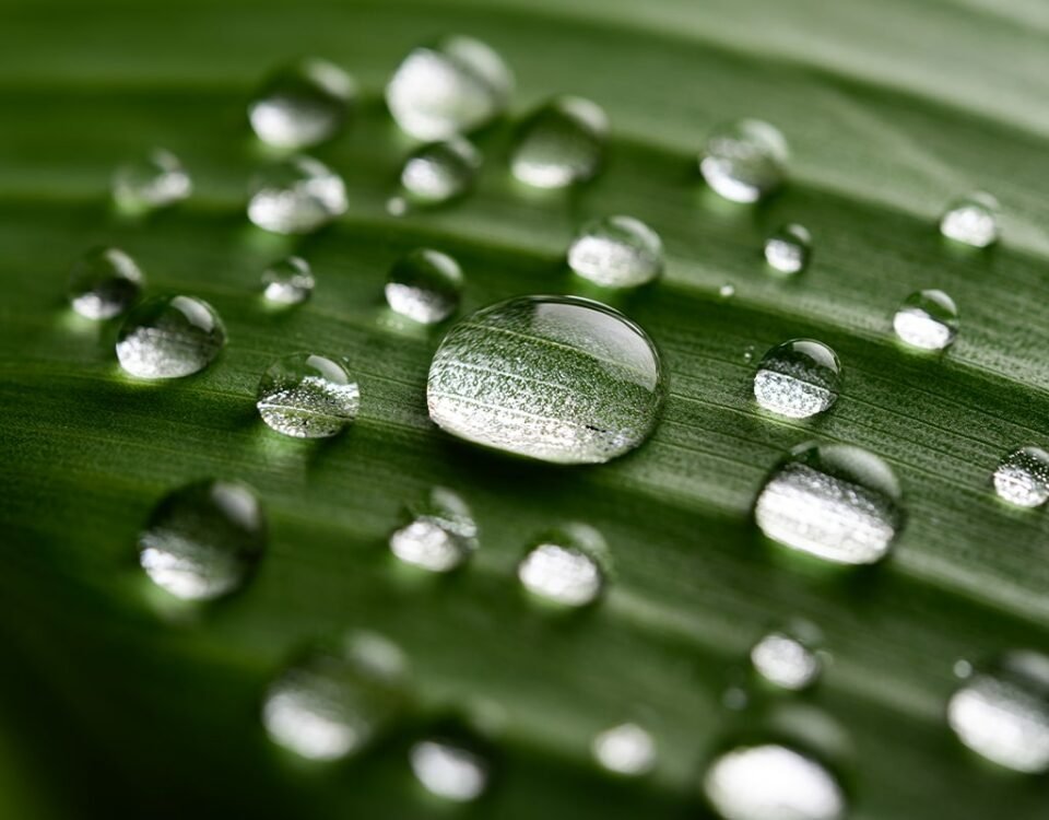 Energetique Chinoise Eau Min