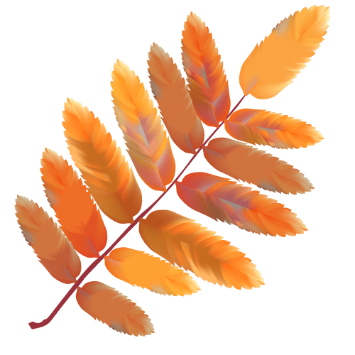 Feuille Automne Orange Decorative.png Min