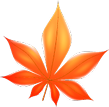 Feuille Erable Orange Decoration Automne Alexandra Trey