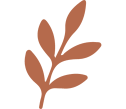 Ornement Illustration Branche Automne