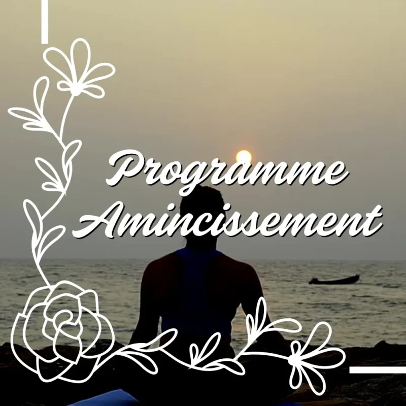 Programme "amincissement à Travers La Médecine Chinoise, La Naturopathie Et La Méditation"